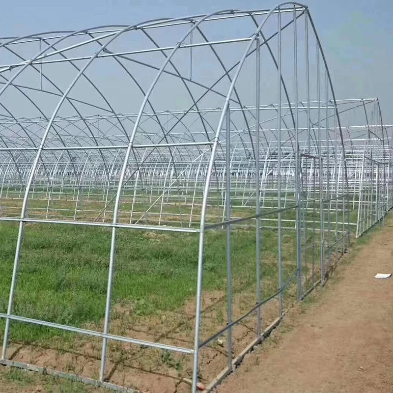 Agricultural Commercial Greenhouse Cheapest Plastic Tunnel Greenhouse For Sale
