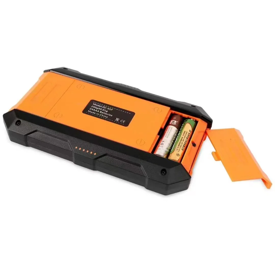 Mini Pocket Jewelry Scale 500g/0.01g/0.1g Electronic Digital Scale