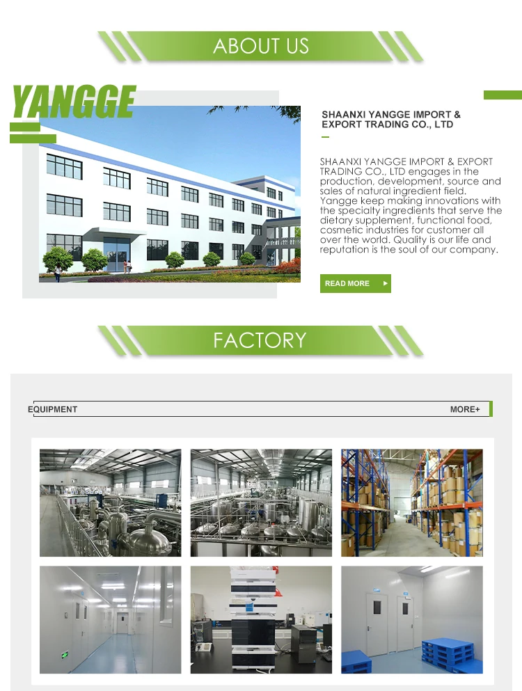 
100% natural Sea Cucumber Extract Powder price 