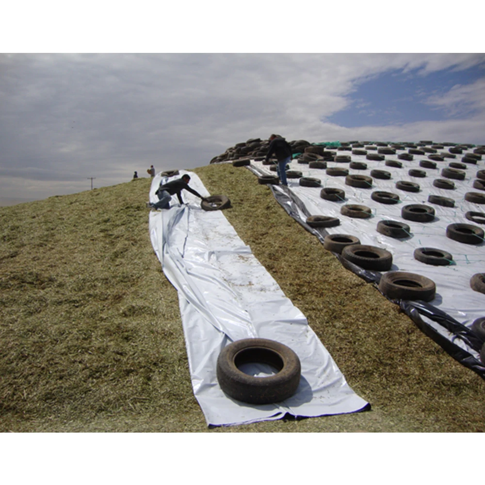 5.5 Mil 6 Mil 10 Mil Thick 10 X 100 Polyethylene Panda Film Black White Plastic Sheeting Roll