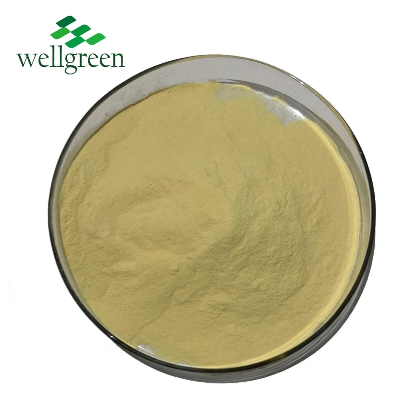 
Wellgreen ISO Halal Kosher Certified Yeast Extract Yeast Cell Wall Extract 