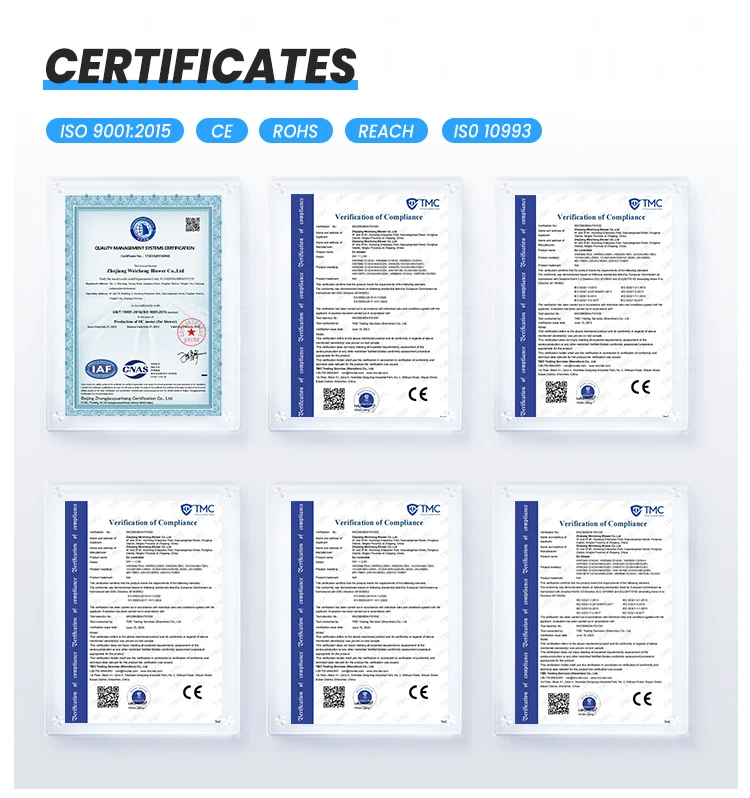 9steadymotor certification