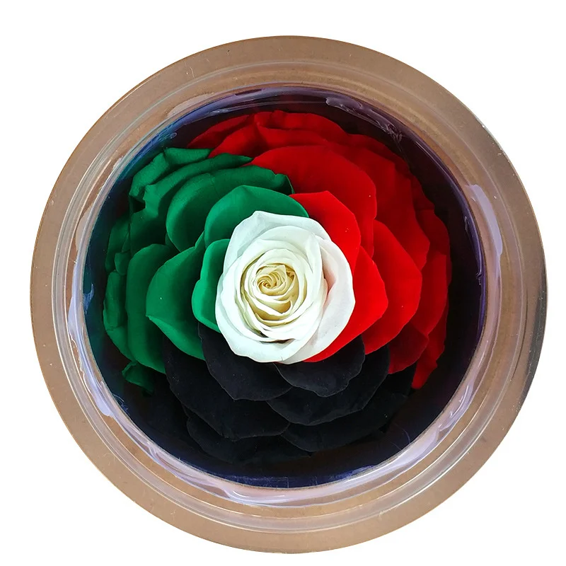 Wholesale AA Grade A Premium Quality 9-10cm Rainbow Preserved Rose Head