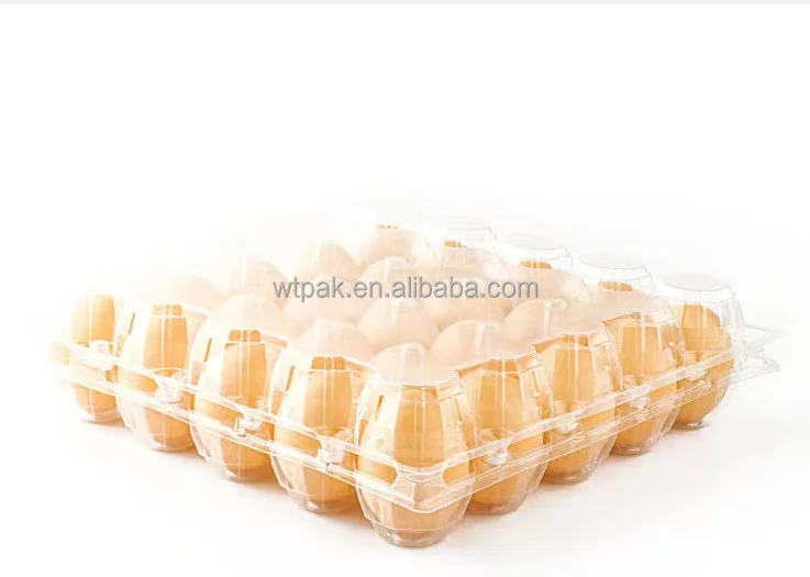 Factory Direct Supply Wholesale Customized Plastic Egg Holder Container