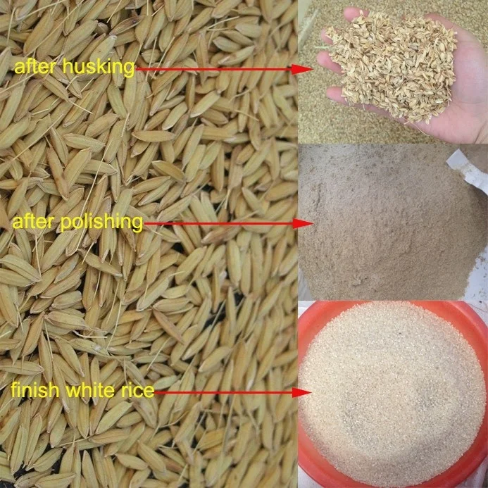 Hot Sell Small Mini Rice Milling Machine Complete Set Combined Rice Mill Equipment