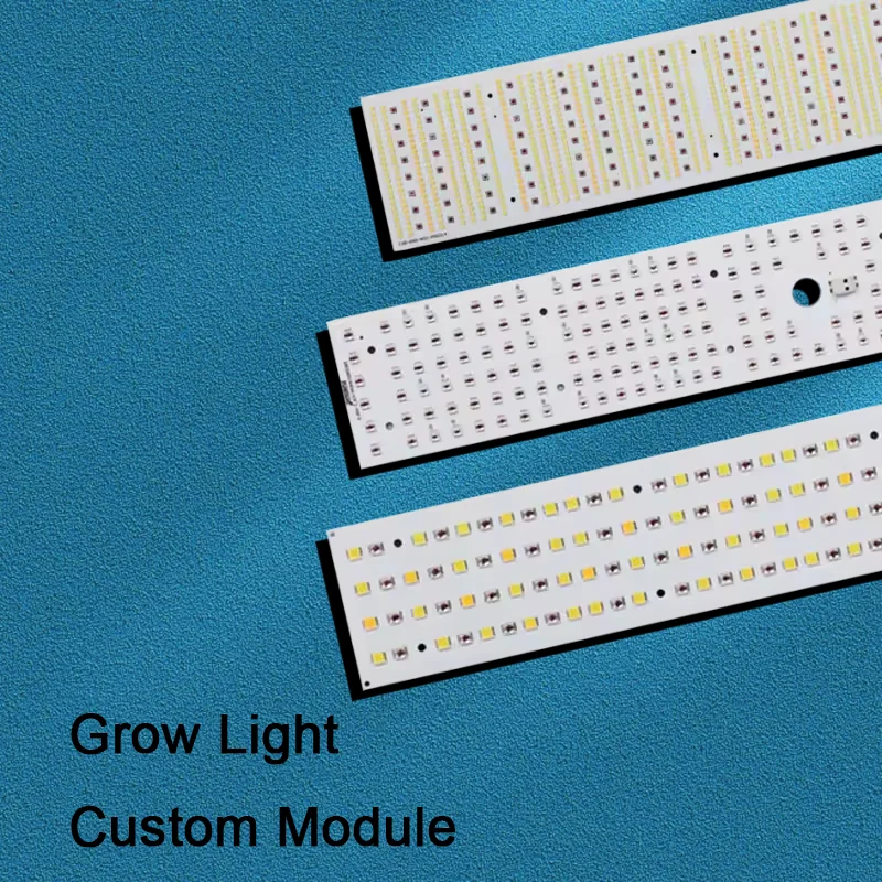 Пользовательские DC линейный светодиодный модуль с 5050 SMD чип 2835 3030 7070 белый Китай огни RGB излучающий цвет 5 Вт мощность IP65 рейтинг