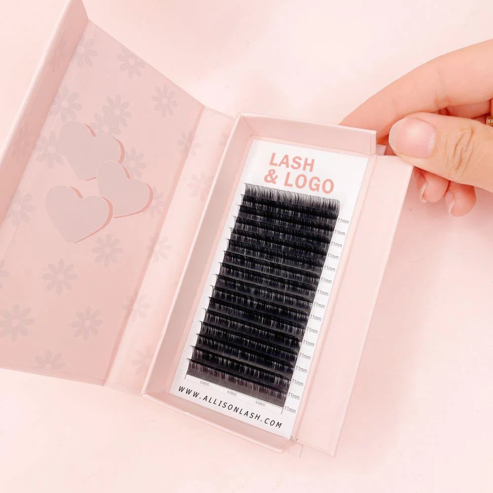 Wholesale 6-25mm 0.03mm0.05mm 0.07mm C Cc D Dd Curl Matte Black Eyelash Extensions Custom Logo Russian Volume Lash Extension