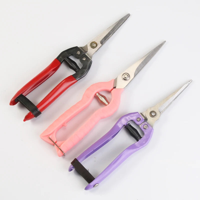 Профессиональные садовые ручные ножницы для обрезки фруктов, ножницы для сбора урожая винограда, садовые ножницы для обрезки