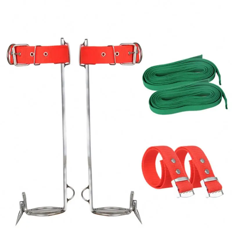 A3228 лапка из нержавеющей стали для скалолазания большая Лапка дерева Пряжка лапки железная обувь захваты вертикальный инструмент