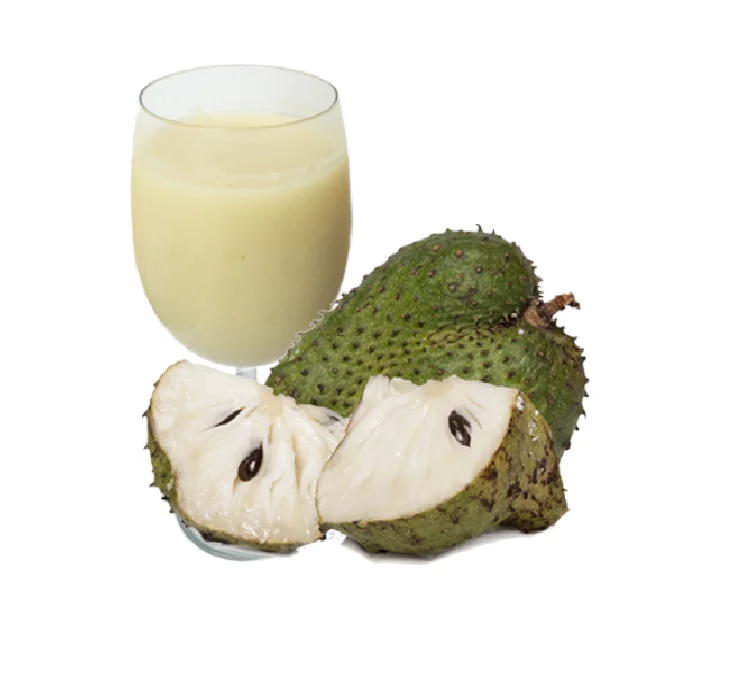 500ml Soursop Juice not From Concentrate High Quality Brand From Vietnam Good Price OEM Service Best Supplier