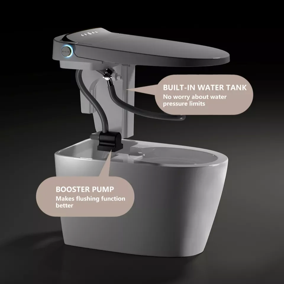 Popular Design Automatic Japanese Electronic Smart Intelligent Wc Toilet Bowl price