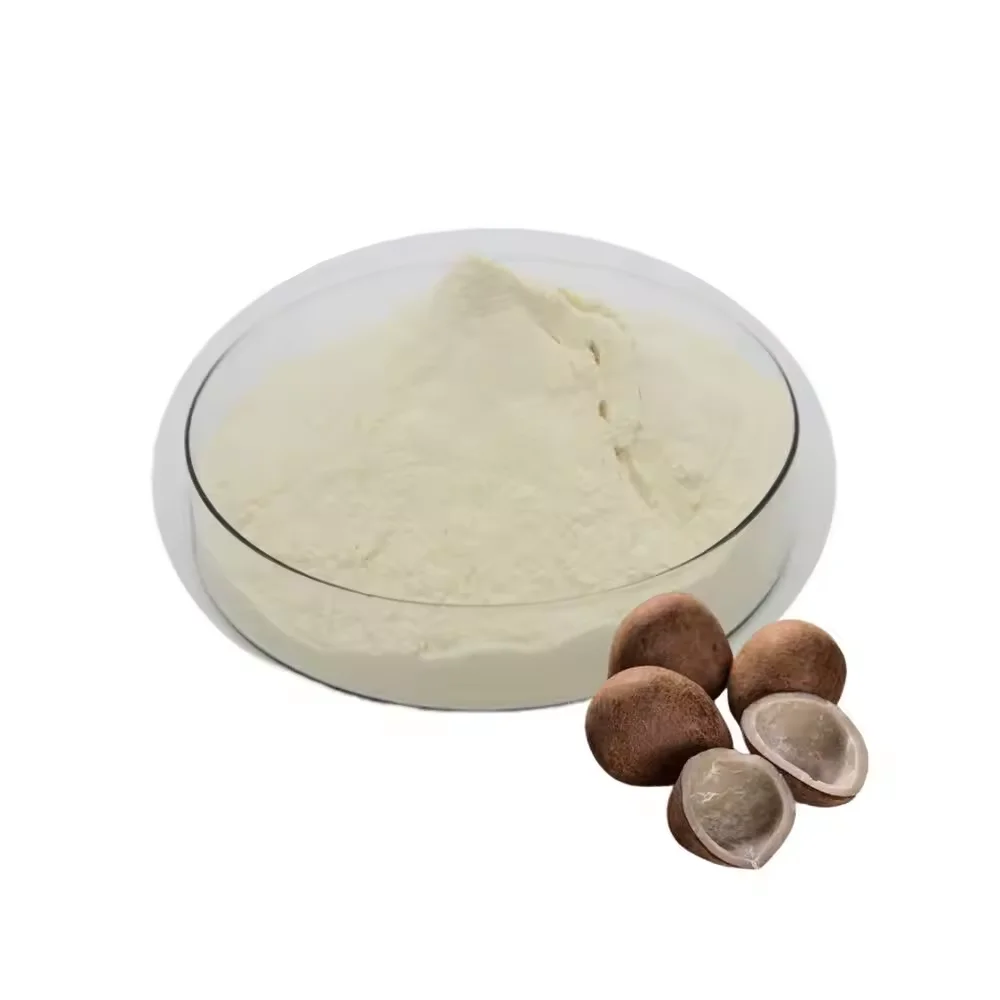 Wholesale Supplier Good Flavor 100% Natural Organic Low Fat Bulk Dried Coconut Milk Powder