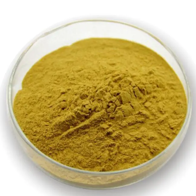 
Hot selling natural kelp extract powder seaweed polysaccharide 