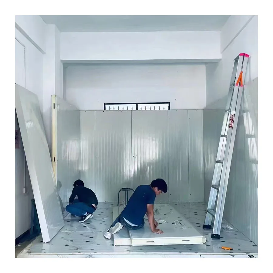 Insulated panels panel wall sip panel with steel