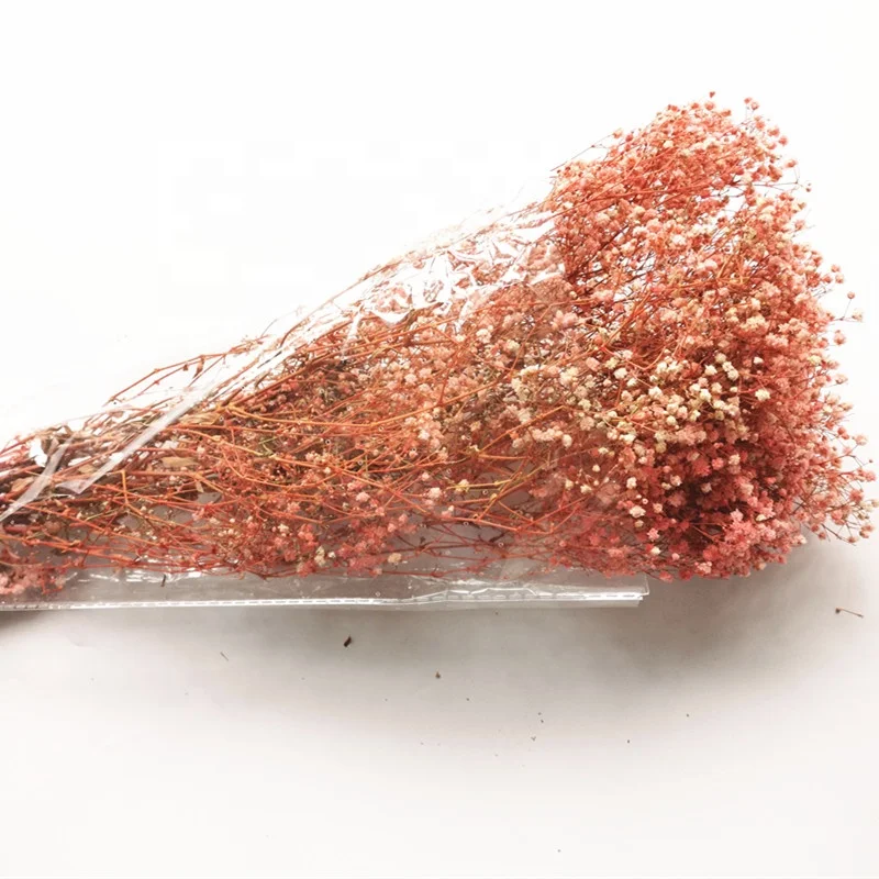  Оптовая продажа сушеный цветок babysbreath сохраненный вечный настоящий и