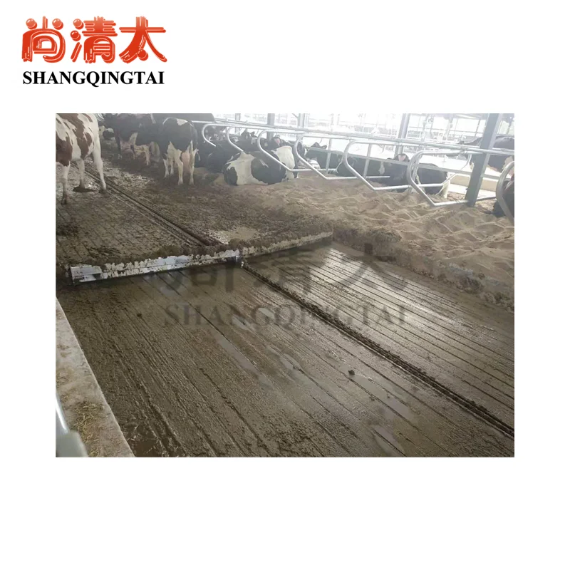 Cattle excrement cleaning system cow farm modern dairy farm design chinese factories wholesale customized