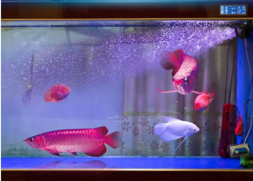 Sobo 8W 10W 15W Adjustable Small Making Water Aquarium Wave Maker Pump