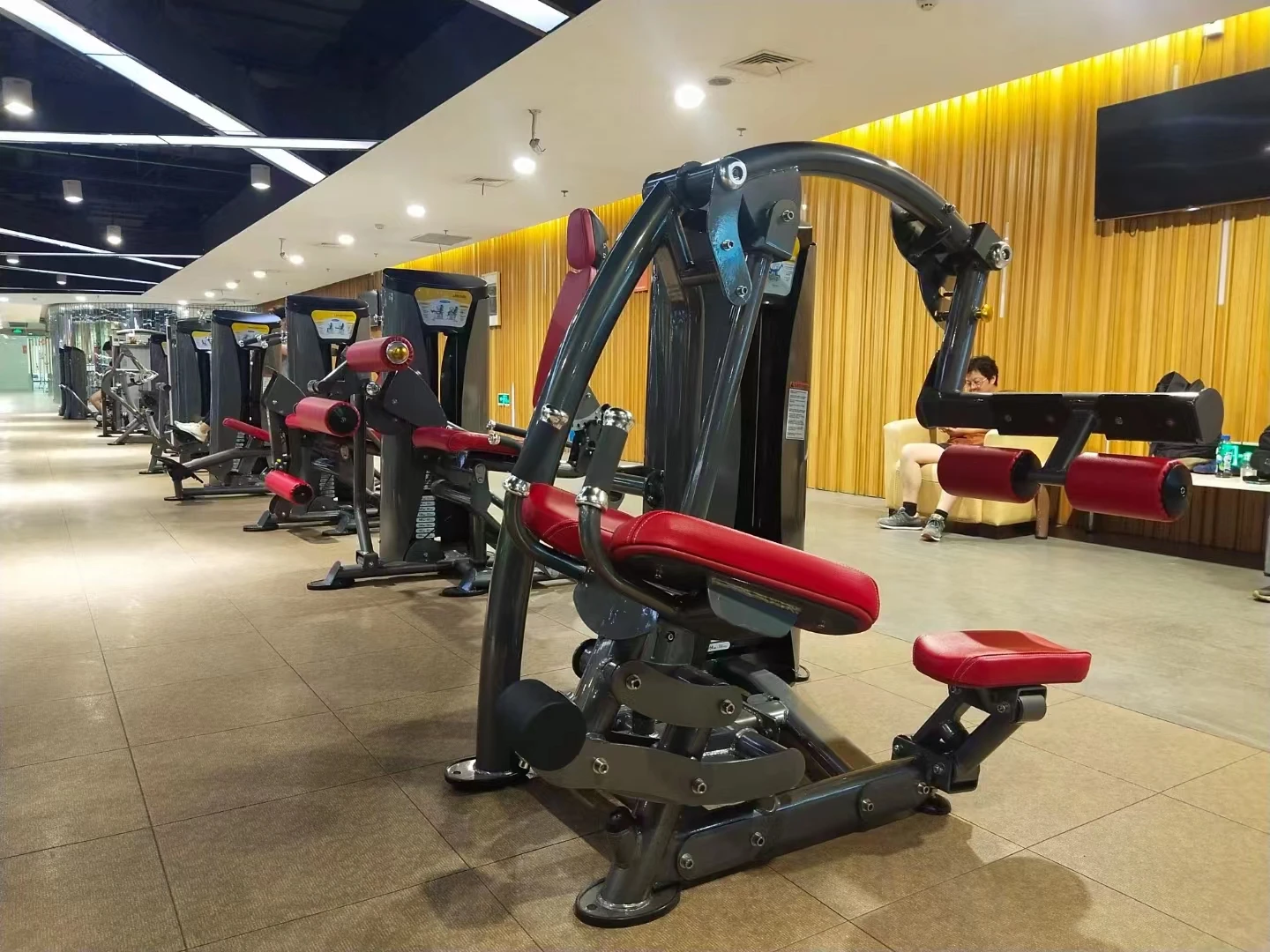 High end Pin-Load Seated Strength Machine Gluted Master From Manufacturers
