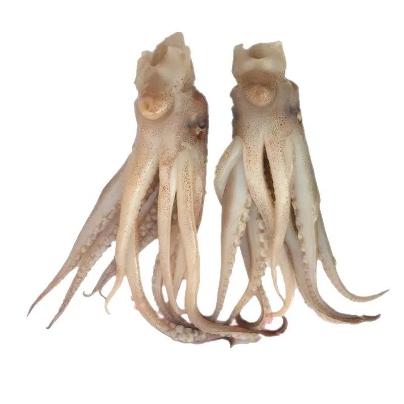 Shandong Ocean Village Food New season Factory Price Squid Tentacle Illex Squid Tentacle