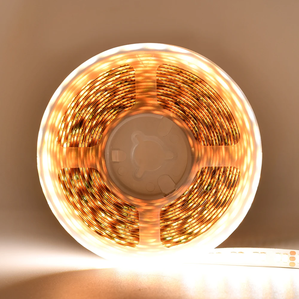 Factory Direct High Quality FPC Width 8mm SMD 2835 200 leds/m Dc12v 24v LED Lights Strips  RGS  for Wall Light