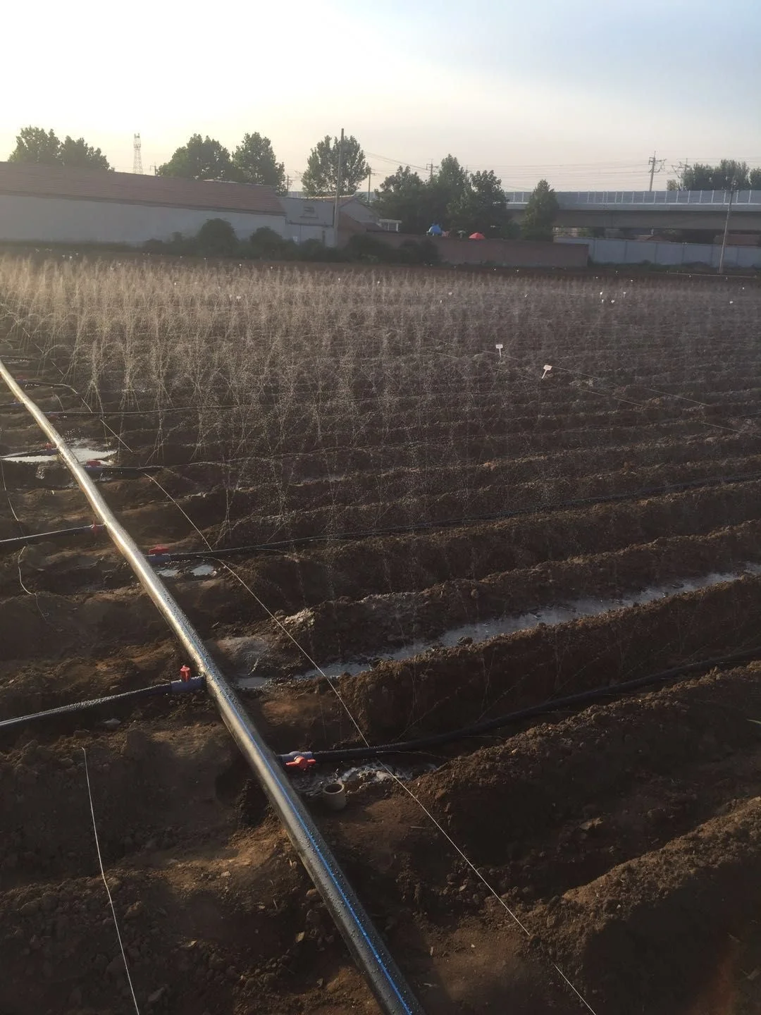 Agricultural stormwater systems can be used for garden farm watering