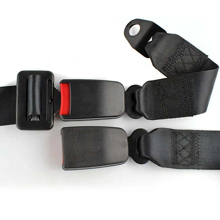 OEM Supplier 2 point removable safety seat belt