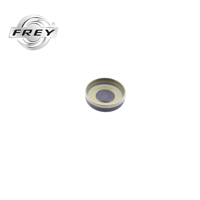 Frey Cylinder Head Plug 0009976220 For Mercedes Sprinter W204 W203 W212 W211 W463 W164 X164 W251 SPRINTER 906 Engine M271 M274