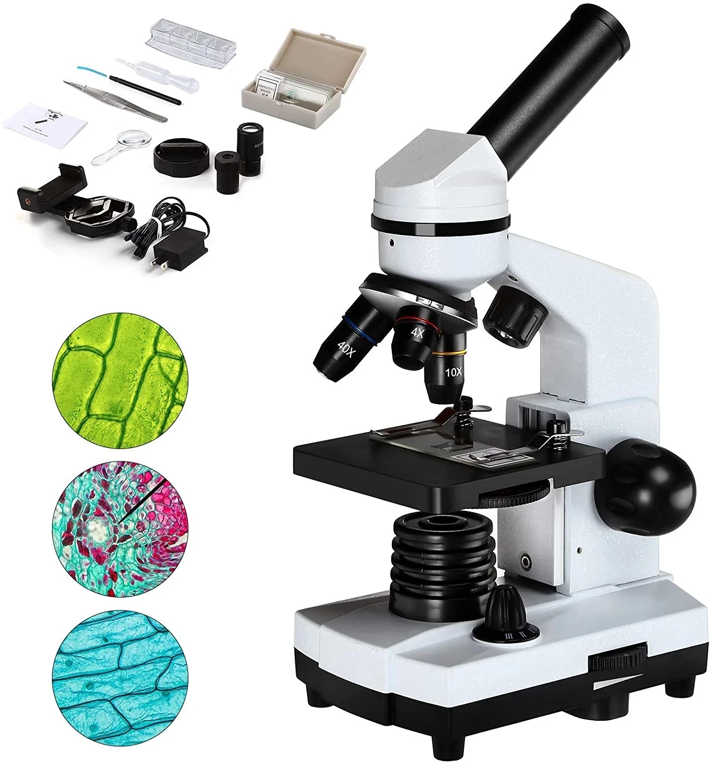 Electron Biology Microscope 1600X Led light  6 Color Filter Slides cell Observation Microscope Optical microscope digital micros