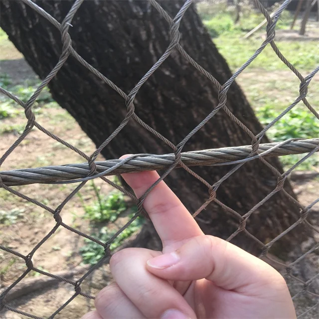 Popular Eye Size 20*20 Stainless Steel Cable Bird Net Small-Hole Steel Rope Wire Mesh for Aviary and Zoo Mesh Netting