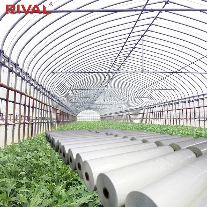 
Low Cost Single-Span UV Blocking 200mic High Tunnel Greenhouse Film Manufacturer 