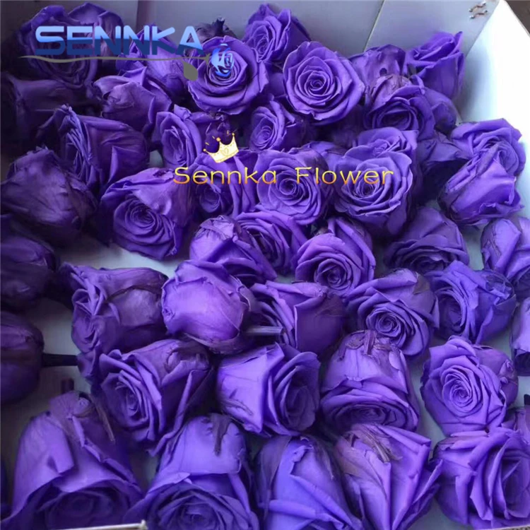 Dubai new Batch preserved forever love flower rose/best selling preserved roses