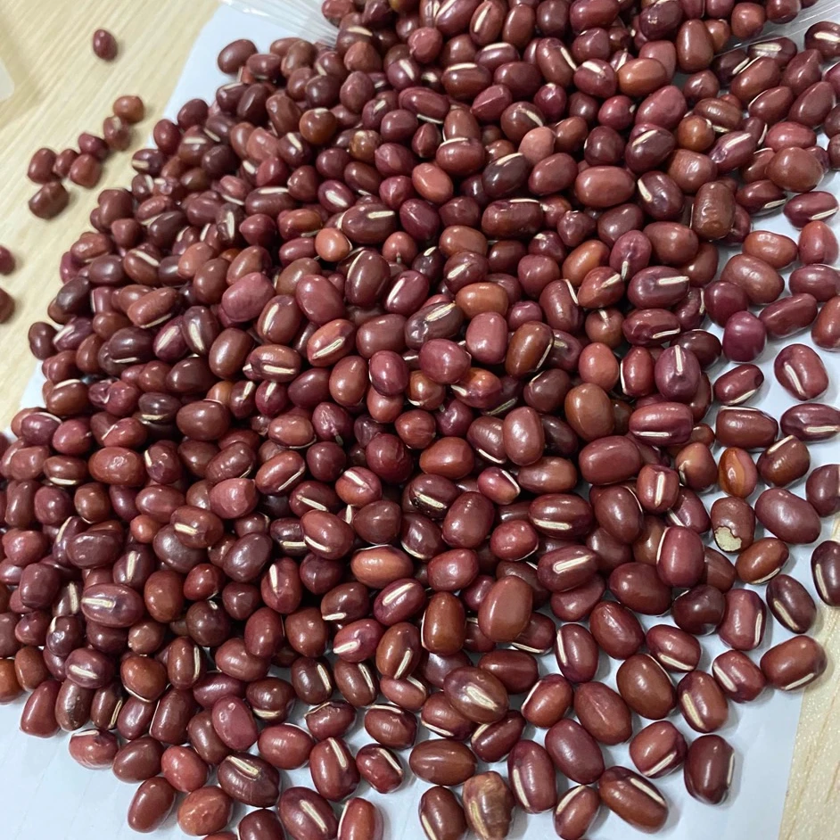 Wholesale red adzuki bean big size