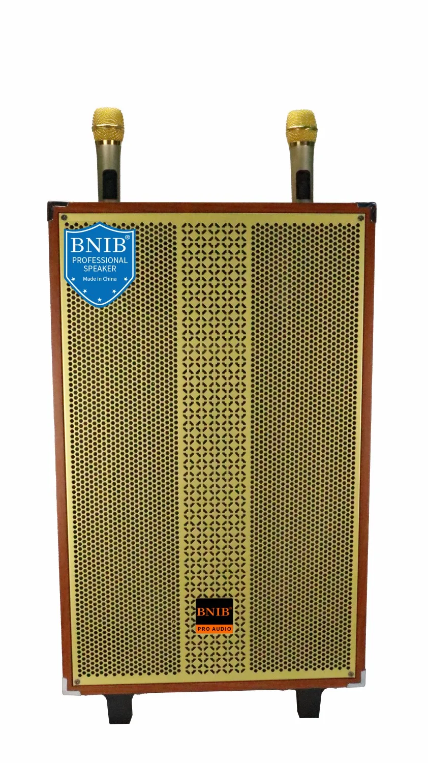 Hot Selling Products 2022 Portable Speaker 10 Inch Speakers Subwoofer Speaker ODM OEM USB BT TF MIC