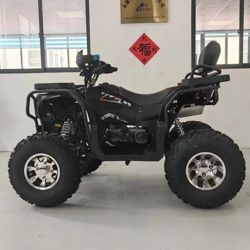 250Cc Cabin 600Cc Track Buggy Street Legal 450Cc Shock Sport Engine Farm 49Cc Snow Differential 1000Cc Quad 250 Three Wheel Atv