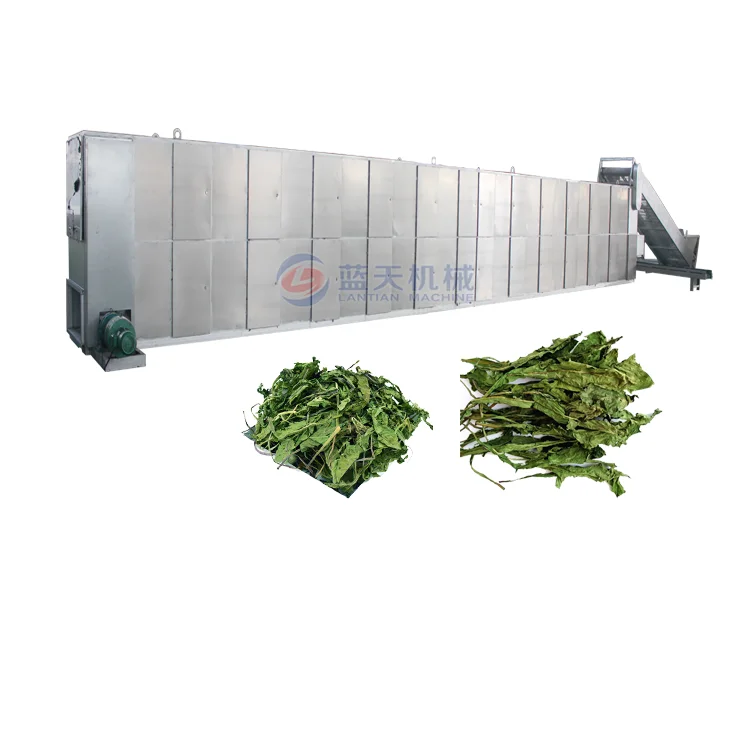 
Continuous Hemp Seed And Flower Stainless Steel Mesh Belt Dryer Price 