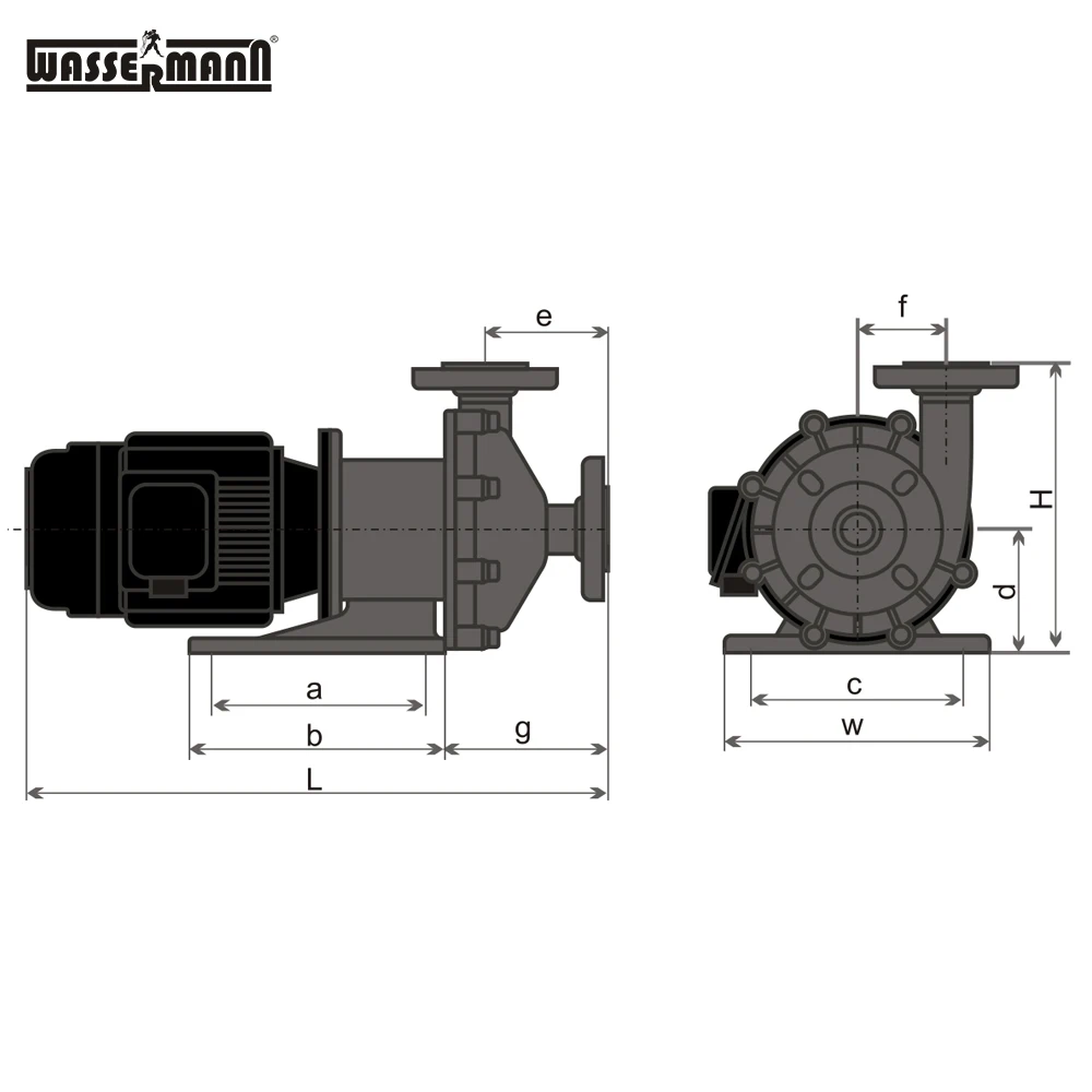 Industrial high quality magnetic drive chemical waste water sump pump