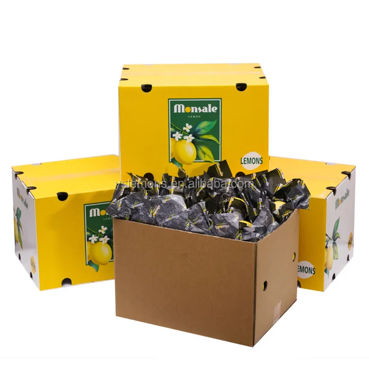 Monsale Wholesale Supply Farm Directly Fresh Organic Lemon Citrus Fruit Glass AB