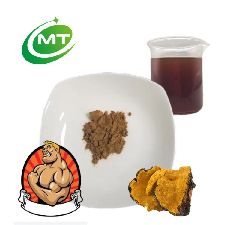 Top Quality Organic 100% natural Best price High quality cheap bulk sale high quality Antrodia camphorata Extract