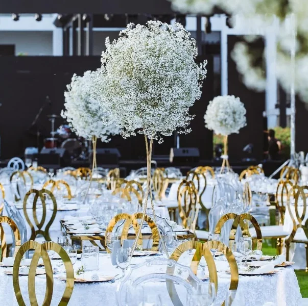 2024 wholesale event chair dubai metal gold high quality modern luxury wedding chair with cushion