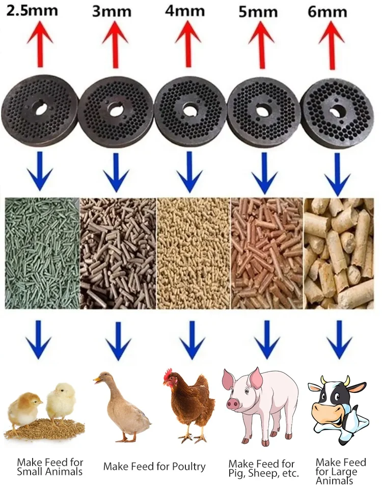 Small Scale Biomass Poultry Feed Pellet Making Machines for Chicken Feed Processing