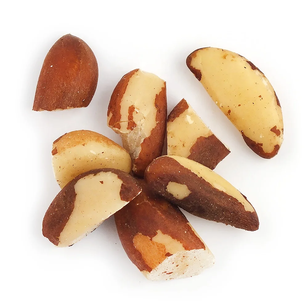 Affordable Organic Brazil Nuts at Very Good Price