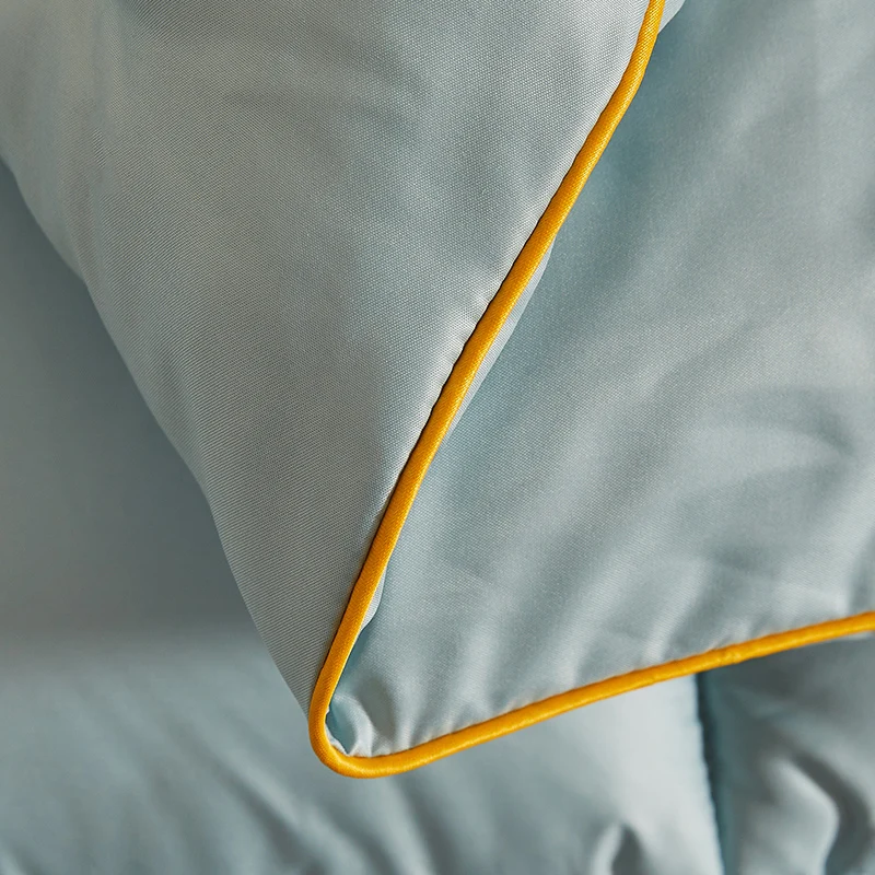 Spring Autumn Winter Home hotel Hot Selling Feather Quilt Silky  queen King 200*230cm 3ply Duck Down Filling duvet comforter set