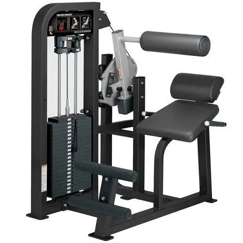 Commercial Home life fitness hammer seated back extension training Equipment Manufacturer wholesale hot sale fitness equipment