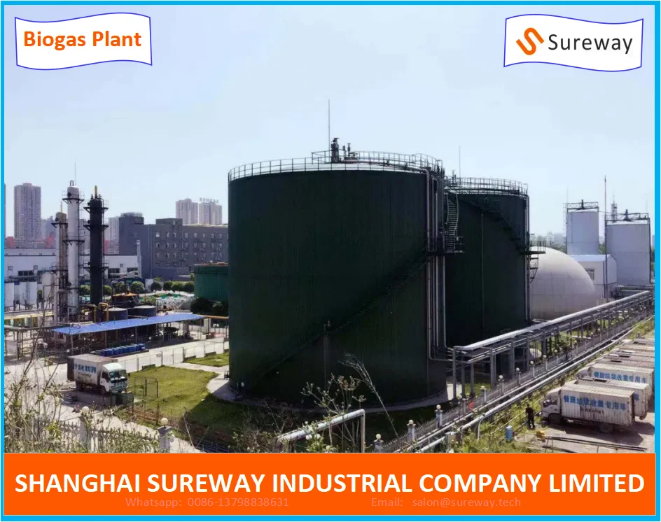 Cstr Anaerobic Reaction Tank Biogas Digester