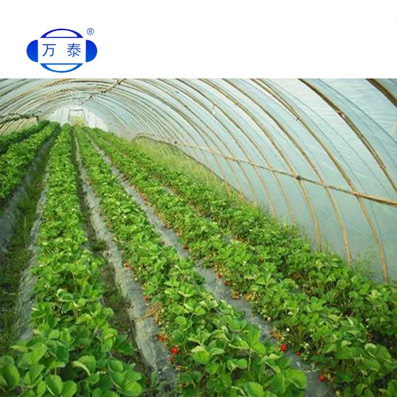 
200 micron ldpe agriculture black greenhouse plastic agriculture polyethylene film for greenhouse clip 