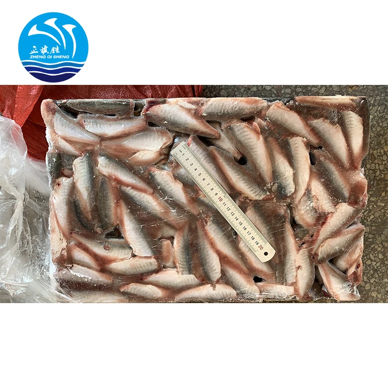 Прямая продажа с завода новые водные продукты ловящая замороженная рыба Лошадиная скумбрия