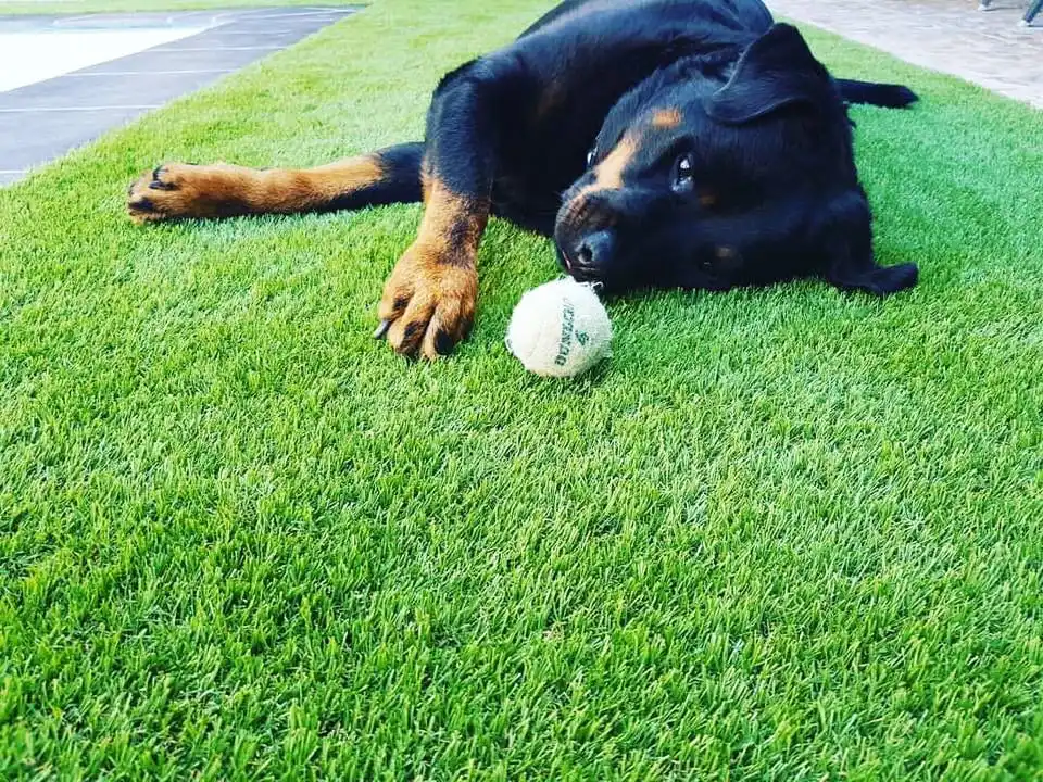 MCGProfessional Custom 20mm Height Artificial Grass Pattern Rug New Design Fun Hopscotch Playground Carpet Soccer PP Use