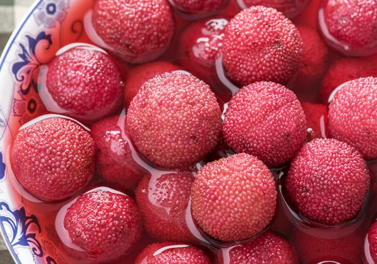 KWS свежая восковая ягода bayberry arbutus консервированная в воде жестяная банка