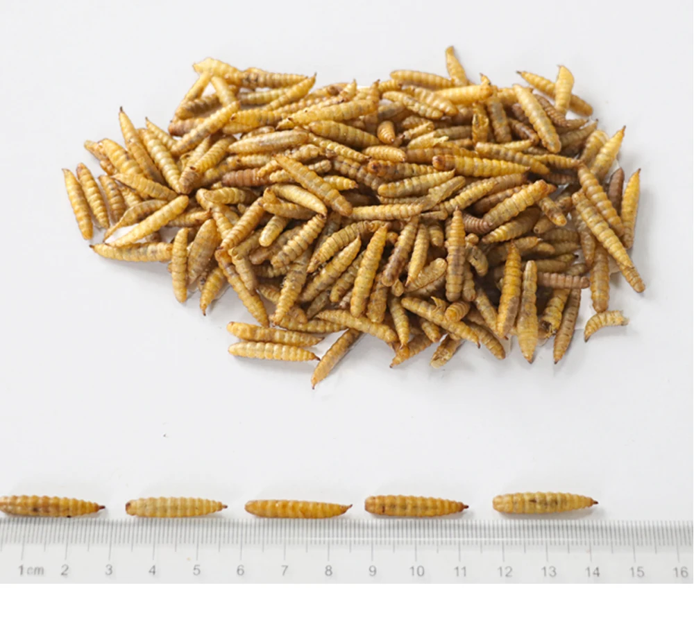 Janio New Product Wren Nourishing and Fattening Bird Feed