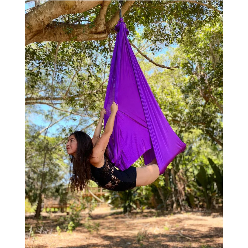 Acrobatic Flying Dance Aerial Yoga Hammock Swing (Deep Purple)